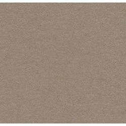 Linoleum 2208 mushroom medley