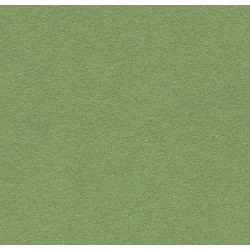 Linoleum 2213 baby lettuce