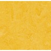 MARMOLEUM CLICK - 333251 lemon zest (0,63 m2 / cutie)